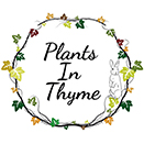 Plants in Thyme