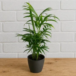 Artevasi plastic decorative pot cover 9cm Anthracite
