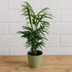 Artevasi plastic decorative pot cover 9cm Ash green