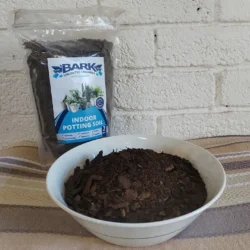 Indoor potting mix - 2dm
