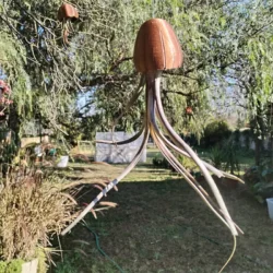 Hanging air plant jellyfish large