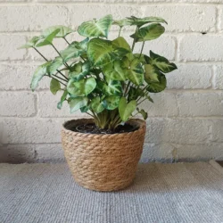 Natural basket small - fits 14cm nursery pot